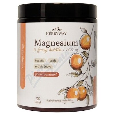 Herbyway Magnesium 1200mg 3 form.mag.pomeranč 170 g – Hledejceny.cz