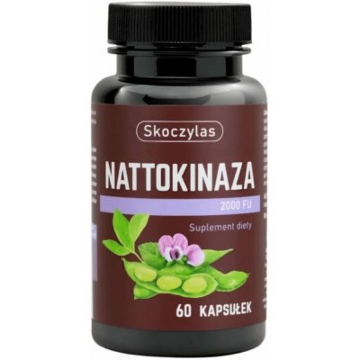 Purelab Marek Skoczylas Nattokinase 2000 FU Fermentovaný extrakt ze sójových bobů 60 kapslí – Hledejceny.cz