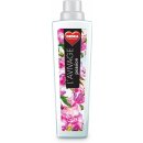 Dedra aviváž passion 750 ml