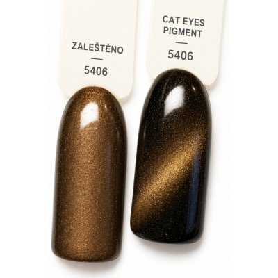 NL nails professional PIGMENT CAT EYES 7 – Hledejceny.cz