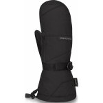 Dakine Leather Titan Gore-Tex mitt black – Zboží Mobilmania