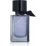 Burberry Mr. Burberry Indigo toaletní voda pánská 100 ml – Hledejceny.cz