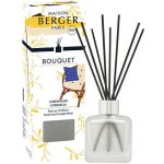 Maison Berger Paris Difuzér Ice Cube Bouquet Citronella 100 ml – Hledejceny.cz