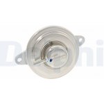 AGR-Ventil Delphi EG10515-12B1 – Hledejceny.cz