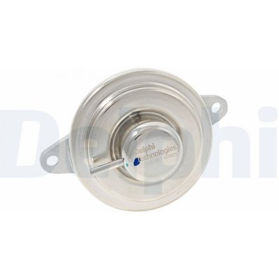 AGR-Ventil Delphi EG10515-12B1 – Hledejceny.cz