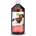 tierlieb Lososový olej pro psy a kočky 1000 ml – Hledejceny.cz