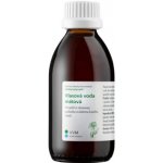 Dědek kořenář vlasová voda mátová 200 ml – Hledejceny.cz