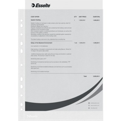 Esselte Economy A4 43 mikronů čirý 100 ks – Zboží Mobilmania