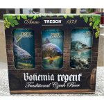 Regent 12 RYBY ležák karton pack 5 % 6 x 0,5 l (plech) – Sleviste.cz