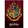 Plakát Plakát - Harry Potter (Hogwarts School Crest)