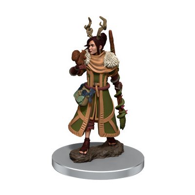 WizKids D&D Icons of the Realms Premium Figures: Female Human Druid