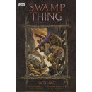 Swamp Thing -- Bažináč 2 - Láska a smrt (Moore Alan, Bissette Stephen)