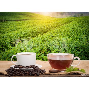 WEBLUX 160363480 Samolepka fólie Coffee or tea in the morning on the wooden table and the Tea plantation background Káva nebo čaj ráno na dřevěný stůl a pozadí čajové p, rozměry 100 x 73 cm