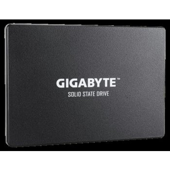 Gigabyte 1TB, GP-GSTFS31100TNTD