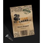 Seedstockers Bruce Banner semena neobsahují THC 3 ks – Zboží Dáma