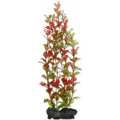 Tetra Ludwigia repens - Red Ludwigia 30 cm – Hledejceny.cz