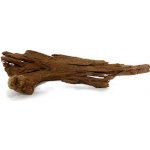 Macenauer Mangroven-Wurzel malý 15-25 cm – Zboží Dáma