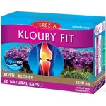 Terezia Company Klouby fit 60 kapslí – Hledejceny.cz