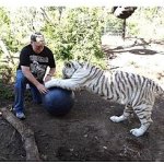 Boomer Ball 25 cm – Sleviste.cz