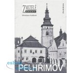 Zmizelé Čechy - Pelhřimov - Kvášová Miroslava – Hledejceny.cz