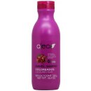 Alea Coloreados Shampoo pro barvené vlasy 500 ml