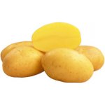 Sadba brambor LARISSA pytel 25 kg sadbové brambory – Sleviste.cz