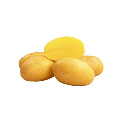 Sadba brambor LARISSA pytel 25 kg sadbové brambory – Sleviste.cz