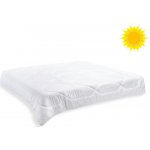 Brotex přikrývka Luxus Plus letní 600g 200x200 – Zboží Mobilmania