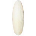 Sépiová kost 10 cm 1 ks – Hledejceny.cz