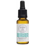 Les Fleurs de Bach Elixír kapky Motivace Motivation 20 ml – Hledejceny.cz