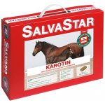 Salvana SALVASTAR Karotin 5 kg – Hledejceny.cz