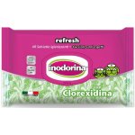 Plaček Pet Products Ubrousky antibakteriální Inodorina 40 ks bal. – Hledejceny.cz
