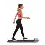 Flow Fitness DTM100i – Zbozi.Blesk.cz