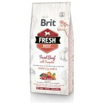 Brit Fresh Beef with Pumpkin Puppy Large 12 kg – Hledejceny.cz