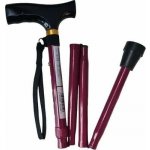 Reha Fund Skládací hliníková hůl s poutkem RF-520/C – Hledejceny.cz