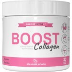 BreastExtra BOOST Collagen 310 g – Hledejceny.cz