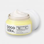 Holika Holika Skin & Good Cera super Cream 60 ml – Zboží Dáma