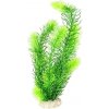 Akvarijní rostlina I--Z Europet Bernina Hornwort zelená 32 cm