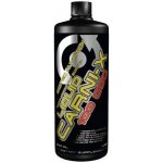 Scitec Nutrition Carni X Liquid 100000 500 ml – Hledejceny.cz