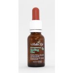 4betterlife žaludeční kapky Ligustrin 20 ml – Hledejceny.cz