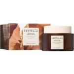 Skin1004 Madagascar Centella Probio-Cica Enrich cream intenzivně pečující krém s probiotiky 50 ml – Zboží Mobilmania