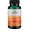 Doplněk stravy na imunitu Swanson Larch Tree Arabinogalactan 90 kapslí 500 mg