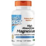Doctor’s Best Magnesium High Absorption 100% chelated hořčík chelát 120 tablet – Hledejceny.cz
