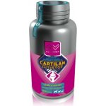 Altervet Cartilan Inflastop 135 g 100 tbl – Zboží Mobilmania