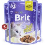 Brit cat Premium Fillets jelly Beef 85 g – Zboží Mobilmania