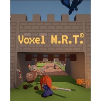 Voxel M.R.T.