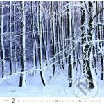 Helma nástěnný Forest/Wald/Les 30 × 30 cm 2026 – Zboží Mobilmania