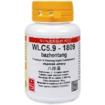 Sinecura WLC5.9 bazhentang 60 tablet – Hledejceny.cz