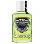 Marvis Spearmint 120 ml – Zboží Mobilmania