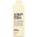 Authentic Beauty Concept ABC Replenish Conditioner 250 ml – Zboží Mobilmania